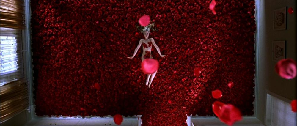 The cinematographic excellence within the 1999 drama, American Beauty –  Art/History of Film